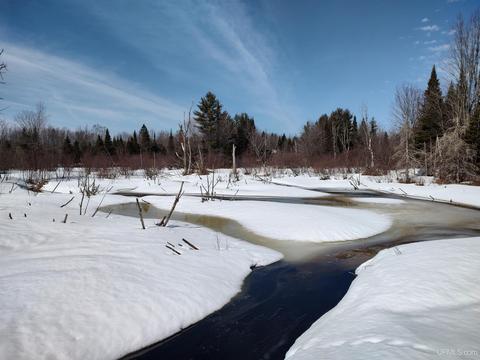 80 Acres Atherton Rd, Traunik, MI 49891