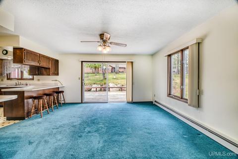 919 E St, Iron Mountain, MI 49801 photo 14