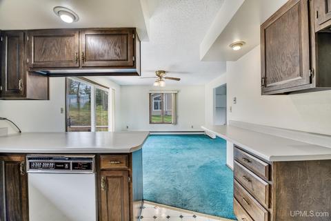 919 E St, Iron Mountain, MI 49801 photo 22