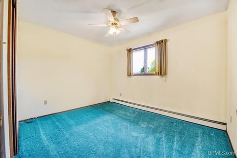 919 E St, Iron Mountain, MI 49801 photo 27