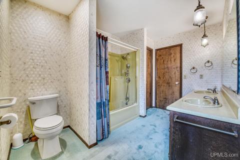 919 E St, Iron Mountain, MI 49801 photo 23