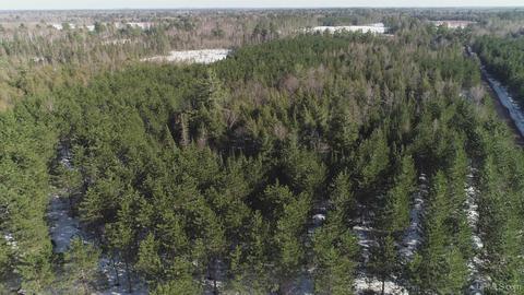 40 Acres 16 Mile Lake Rd, Munising, MI 49862