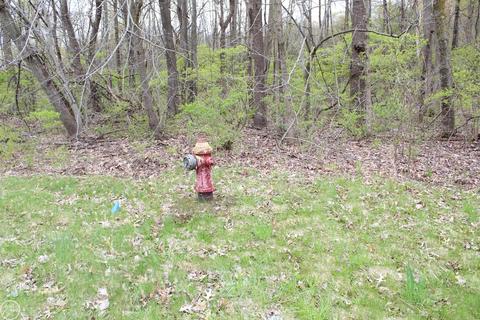 00000 Morrill, Jackson, MI 49201 photo 2