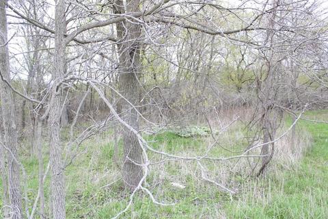 00000 Morrill, Jackson, MI 49201 photo 3
