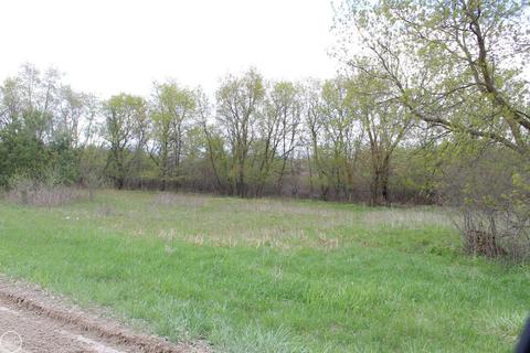 00000 Morrill, Jackson, MI 49201 photo 4