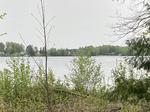 1324 Green Mountain Meadow Ln, West Branch, MI 48661