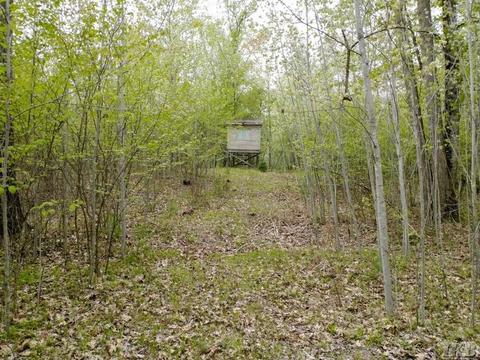 1340 Birch Ridge Rd, Gladwin, MI 48624 photo 23