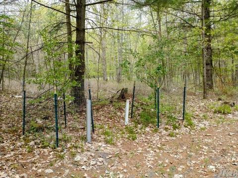 1340 Birch Ridge Rd, Gladwin, MI 48624 photo 36