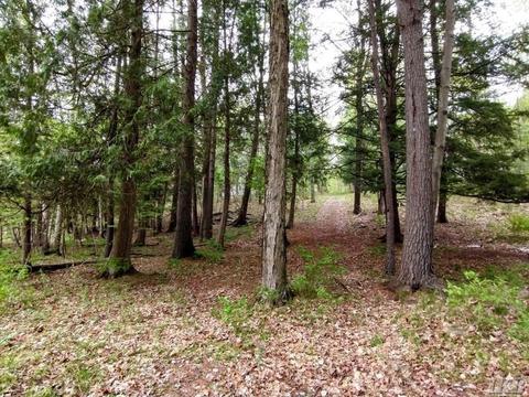 1340 Birch Ridge Rd, Gladwin, MI 48624 photo 35