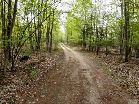 1340 Birch Ridge Rd, Gladwin, MI 48624 photo 37