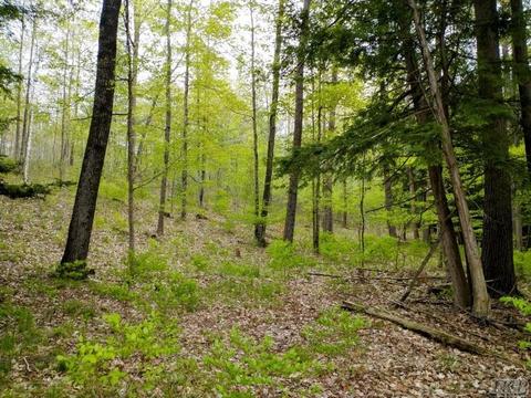 1340 Birch Ridge Rd, Gladwin, MI 48624 photo 34