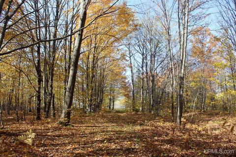 Tbd Pike River, Chassell, MI 49916