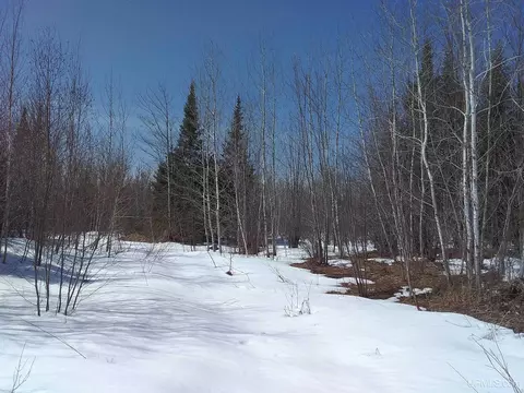 80 Acres V25, Trenary, MI 49891
