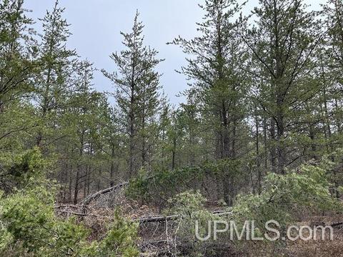 40 Acres Sta, Gwinn, MI 49841