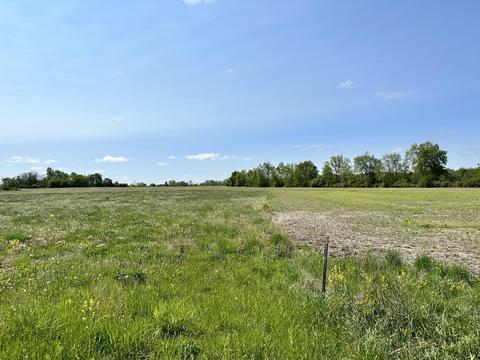 N Saginaw, Clio, MI 48420