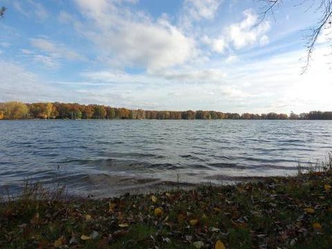 3261 Lakeshore Dr, Gladwin, MI 48624 photo 54