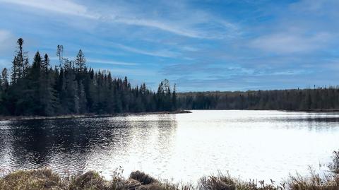 Tbd Bone Lake Rd, Crystal Falls, MI 49920