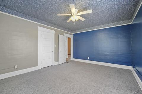 1019 E Maple Ave, Adrian, MI 49221 photo 23