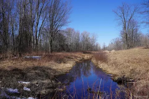 0 Rhodes, National City, MI 48748