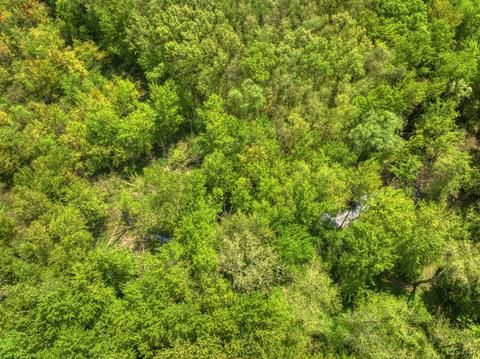 2488 Laberdee Rd, Adrian, MI 49221 photo 29