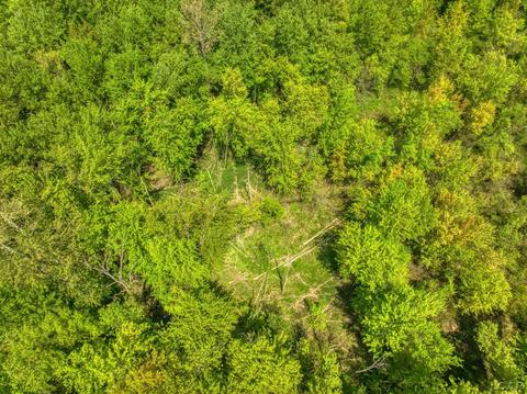 2488 Laberdee Rd, Adrian, MI 49221 photo 31