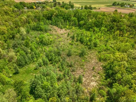 2488 Laberdee Rd, Adrian, MI 49221 photo 32