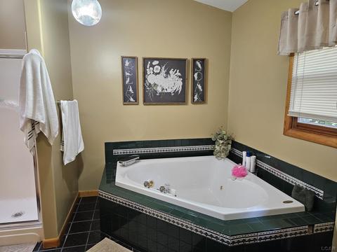 1685 E Carleton, Adrian, MI 49221 photo 39