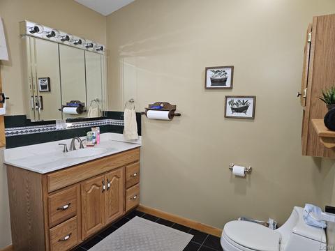 1685 E Carleton, Adrian, MI 49221 photo 38