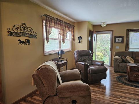 1685 E Carleton, Adrian, MI 49221 photo 24