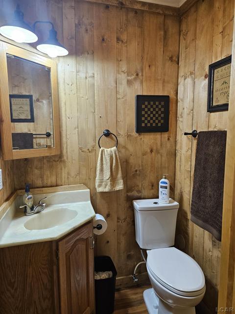 1685 E Carleton, Adrian, MI 49221 photo 43