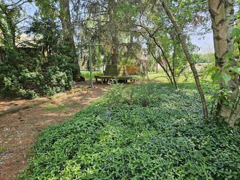 1685 E Carleton, Adrian, MI 49221 photo 13
