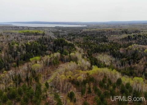 tbd 80 Off Baraga Plns, Baraga, MI 49908