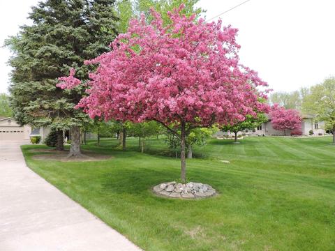 2191 Parish Rd, Kawkawlin, MI 48631 photo 51