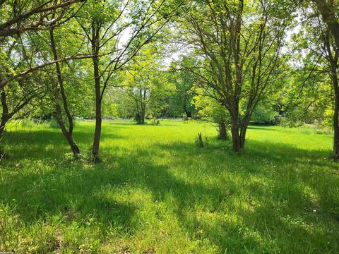 420 W North, Tekonsha, MI 49092