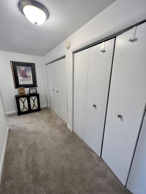 17355 Geddes Rd, Hemlock, MI 48626 photo 26