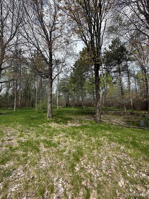 4461 State Highway M35, Escanaba, MI 49829 photo 19