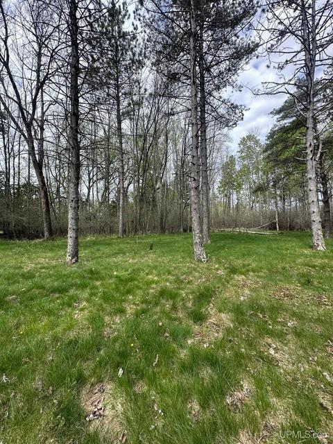 4461 State Highway M35, Escanaba, MI 49829 photo 24