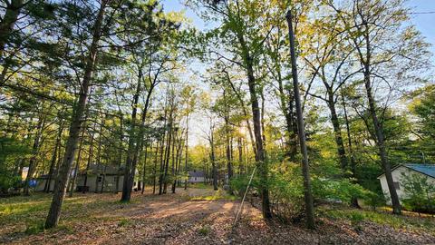 431 Woodlawn, Roscommon, MI 48653