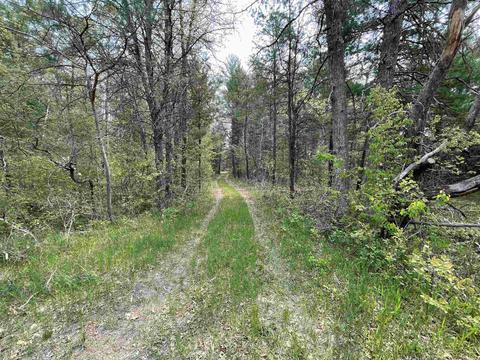 8433 S Grayling, Roscommon, MI 48653