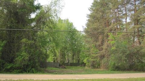 Vl1 Elm, Lexington, MI 48450