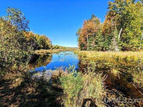 1164 M73, Iron River, MI 49935