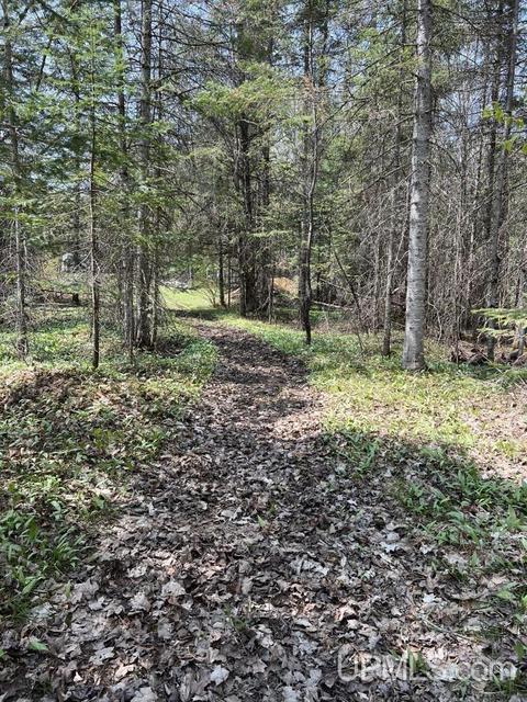 N5358 Star Siding, Shingleton, MI 49884 photo 60