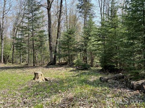 N5358 Star Siding, Shingleton, MI 49884 photo 51