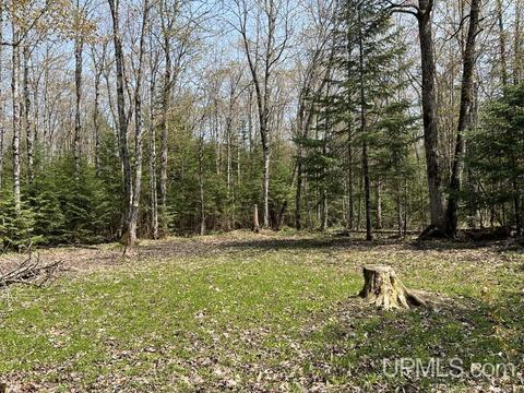N5358 Star Siding, Shingleton, MI 49884 photo 52