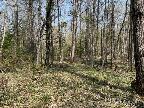 N5358 Star Siding, Shingleton, MI 49884 photo 61
