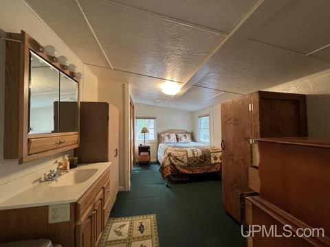 N5358 Star Siding, Shingleton, MI 49884 photo 13