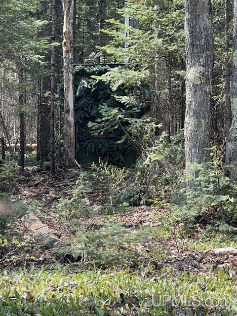 N5358 Star Siding, Shingleton, MI 49884 photo 66