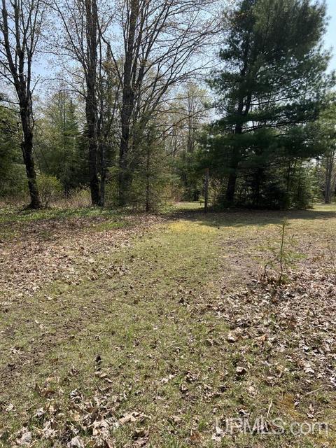N5358 Star Siding, Shingleton, MI 49884 photo 50