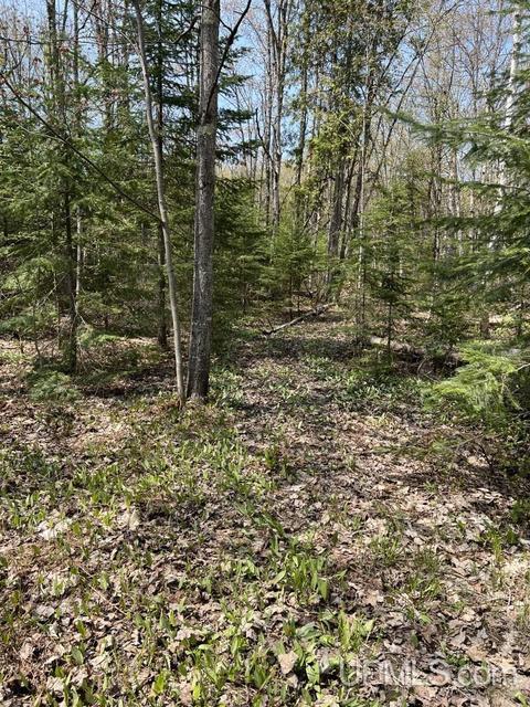 N5358 Star Siding, Shingleton, MI 49884 photo 65