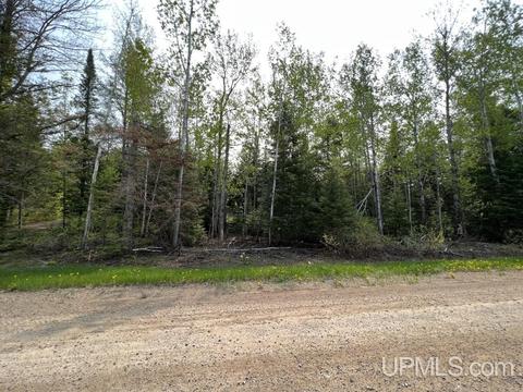 N5358 Star Siding, Shingleton, MI 49884 photo 67